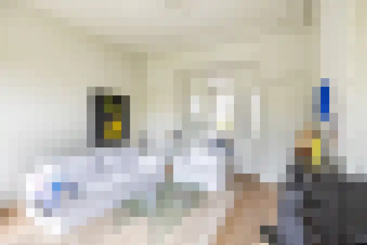 Weeshuiswal 7 Buren thumbnail 30
