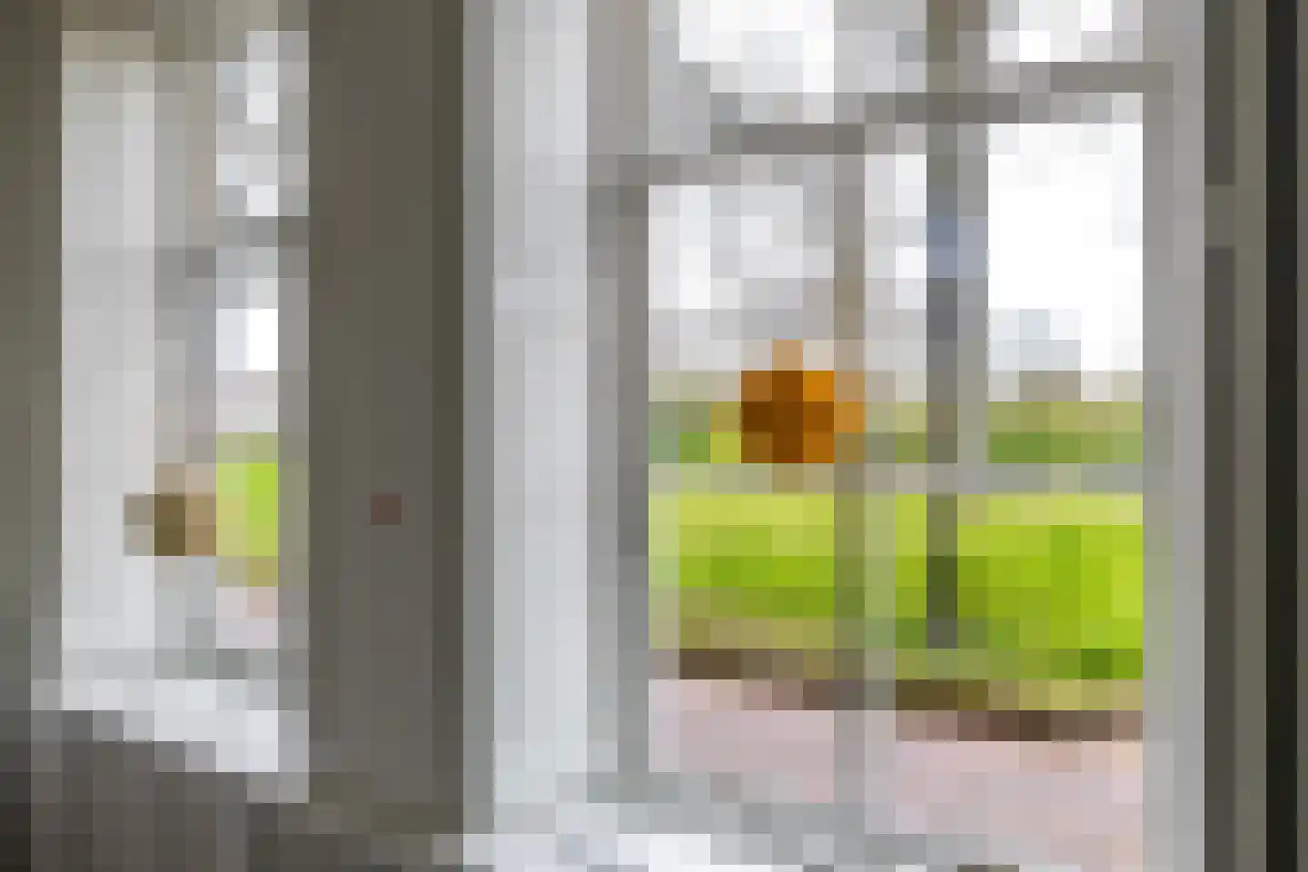 Weeshuiswal 7 Buren thumbnail 37