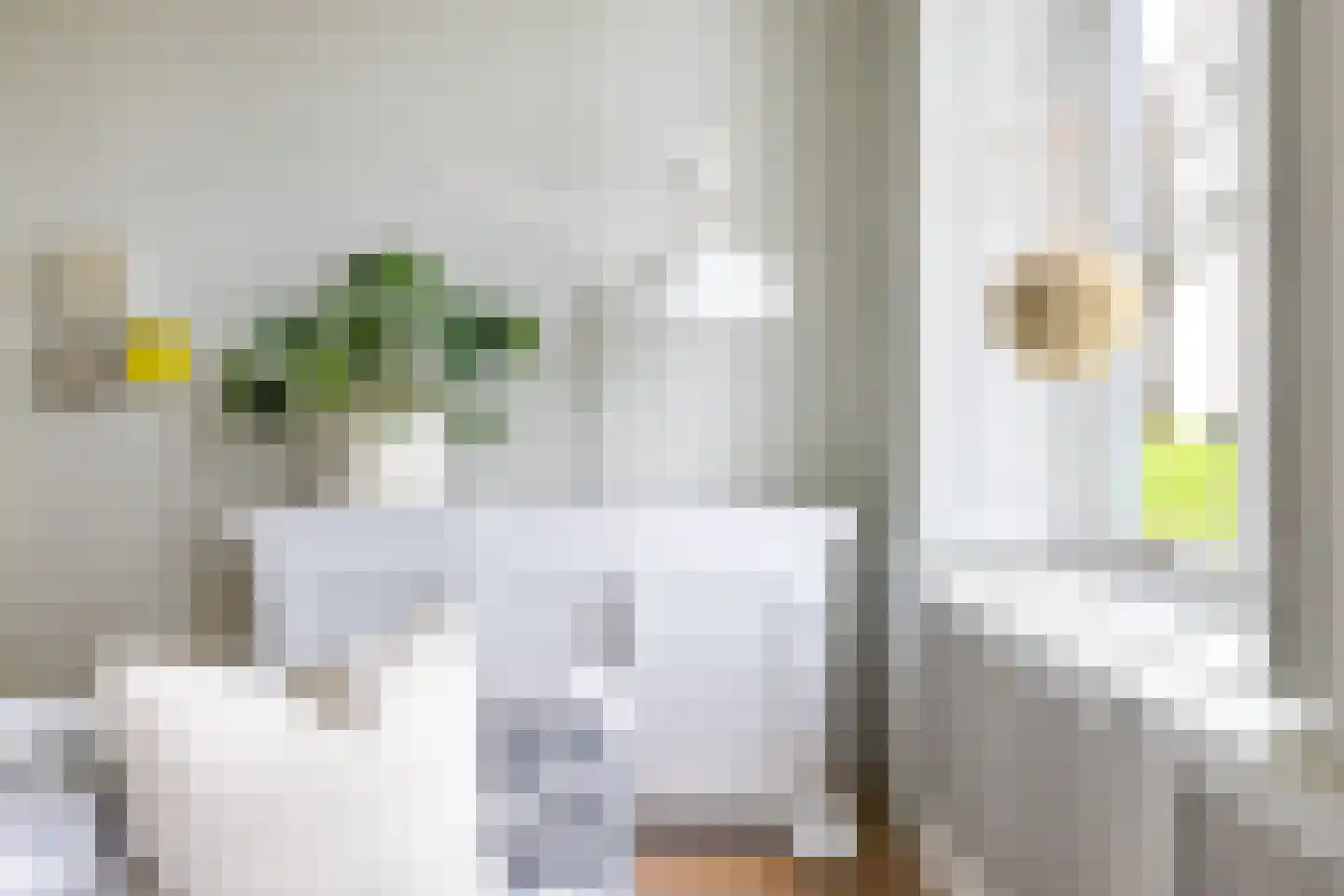 Weeshuiswal 7 Buren thumbnail 38