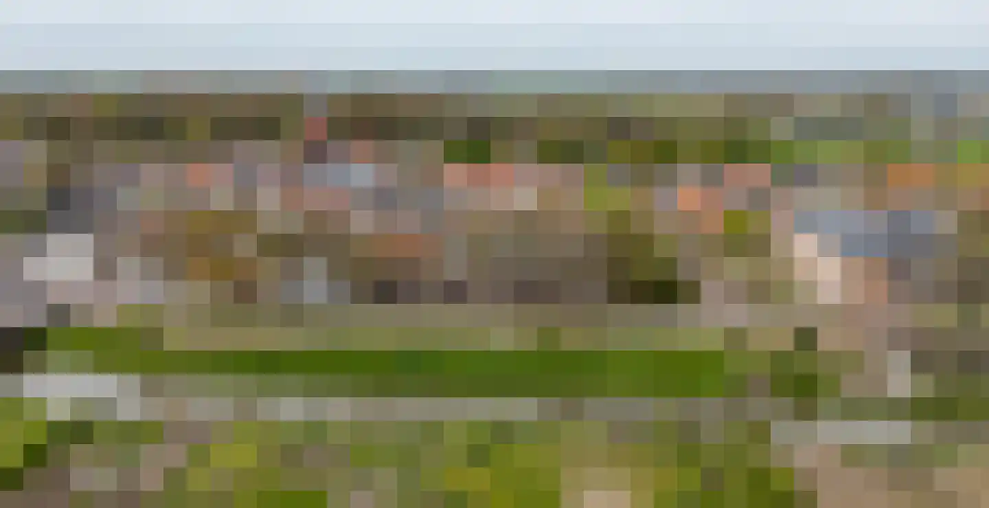 Weeshuiswal 7 Buren thumbnail 4