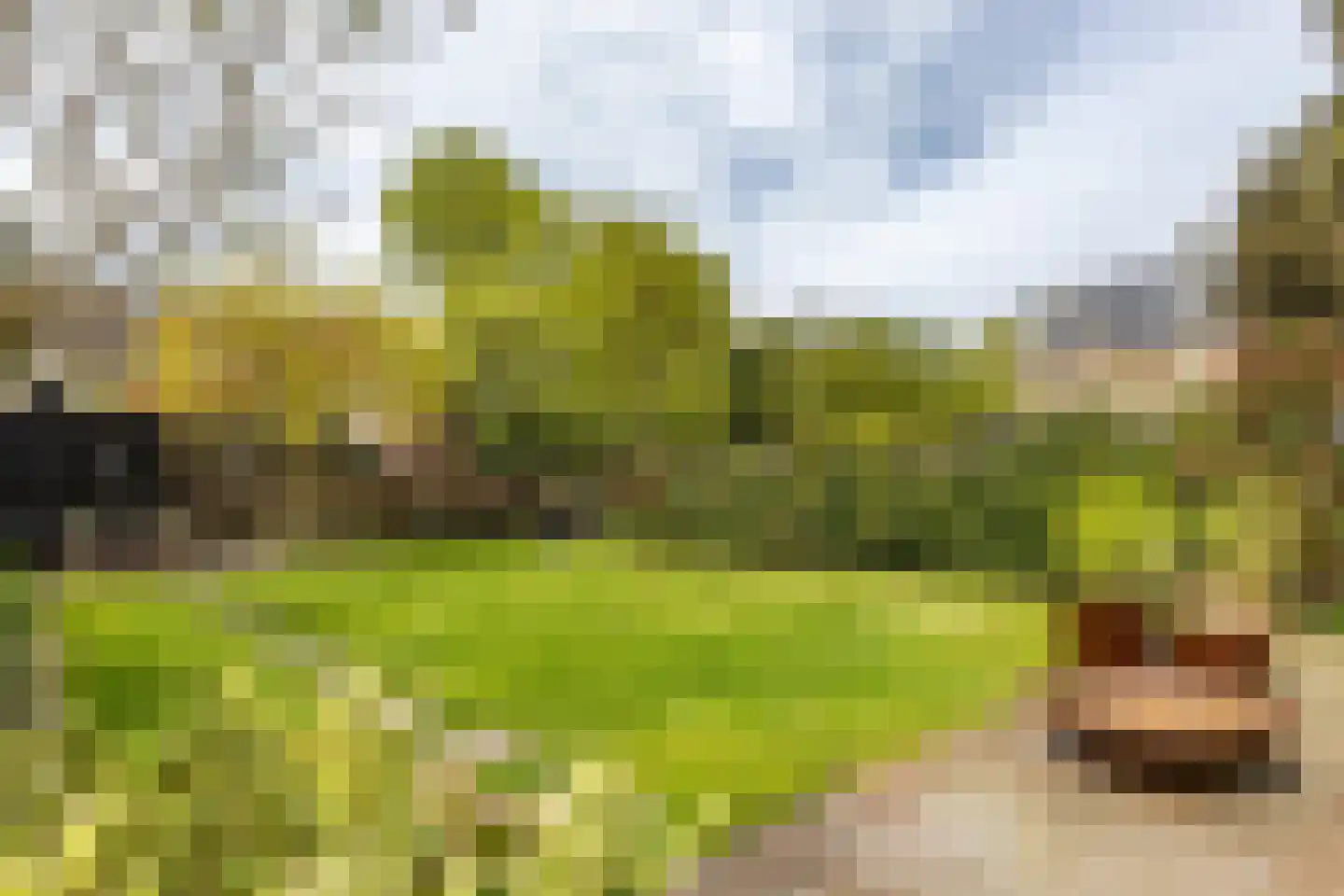 Weeshuiswal 7 Buren thumbnail 41