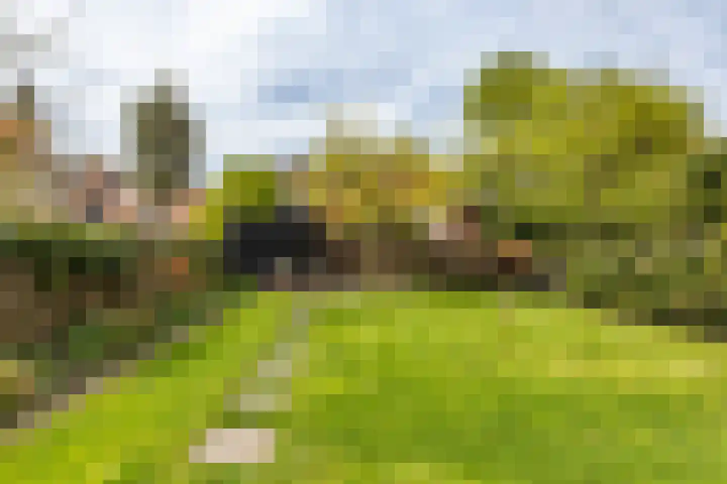 Weeshuiswal 7 Buren thumbnail 43