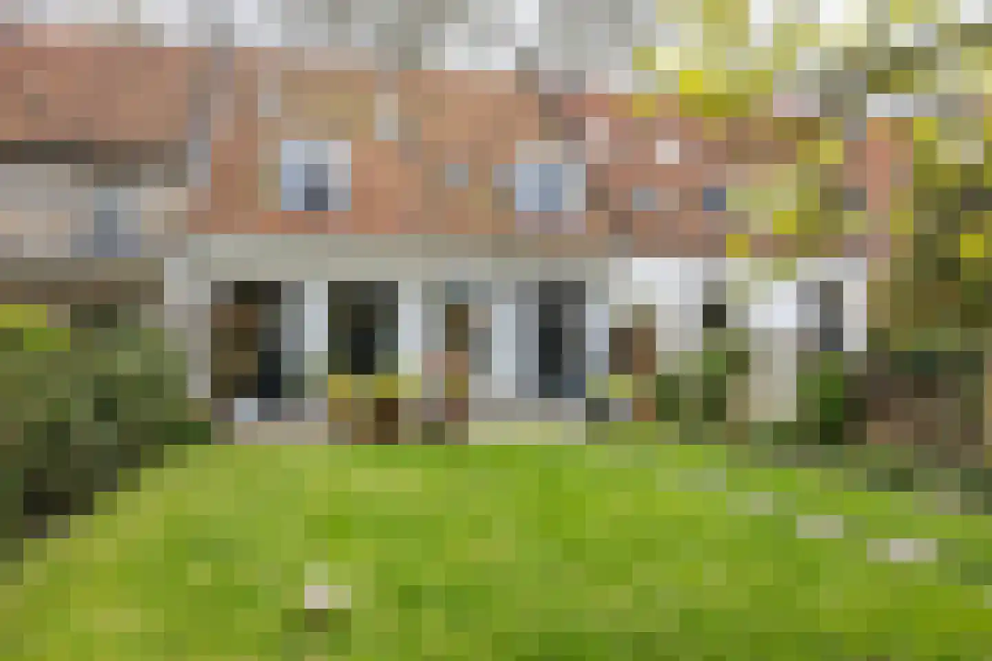 Weeshuiswal 7 Buren thumbnail 47
