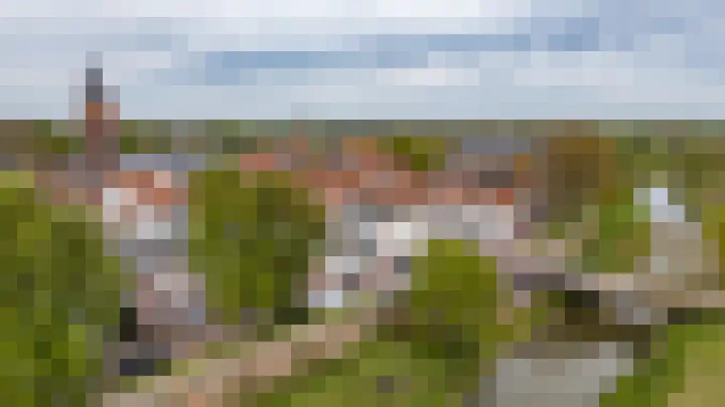 Weeshuiswal 7 Buren thumbnail 5
