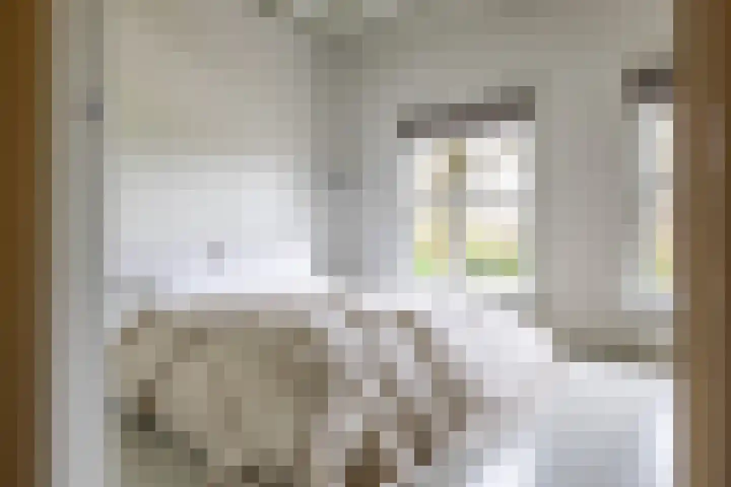 Weeshuiswal 7 Buren thumbnail 52