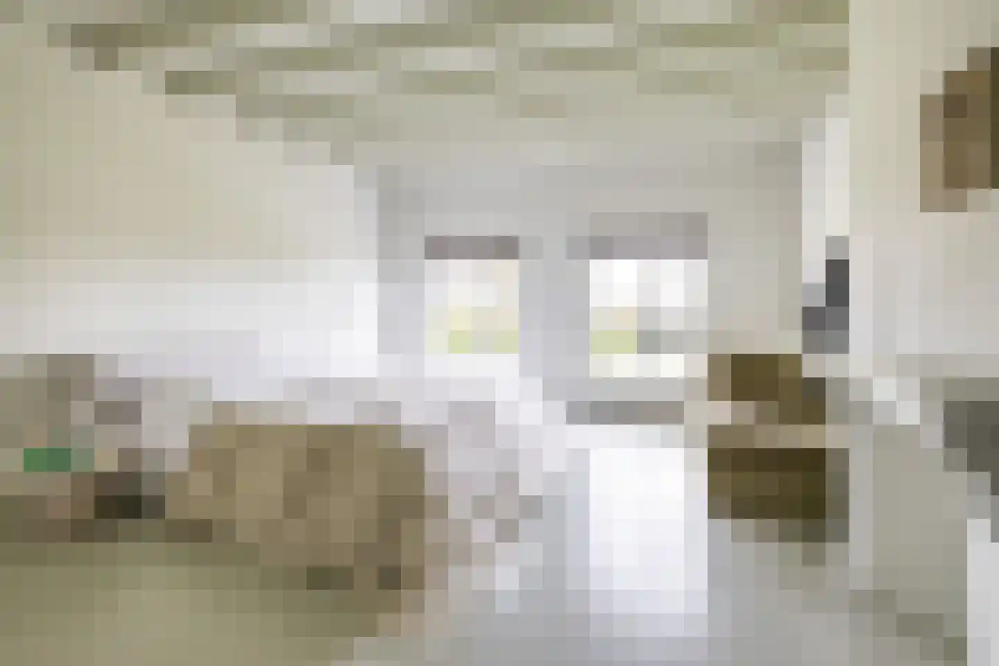 Weeshuiswal 7 Buren thumbnail 56