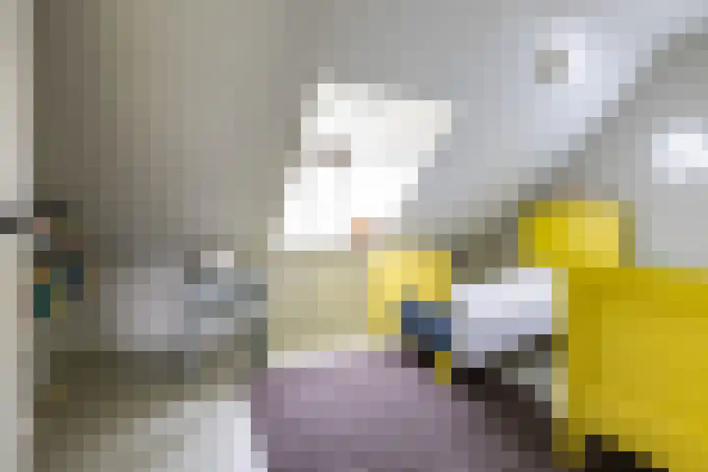 Weeshuiswal 7 Buren thumbnail 58