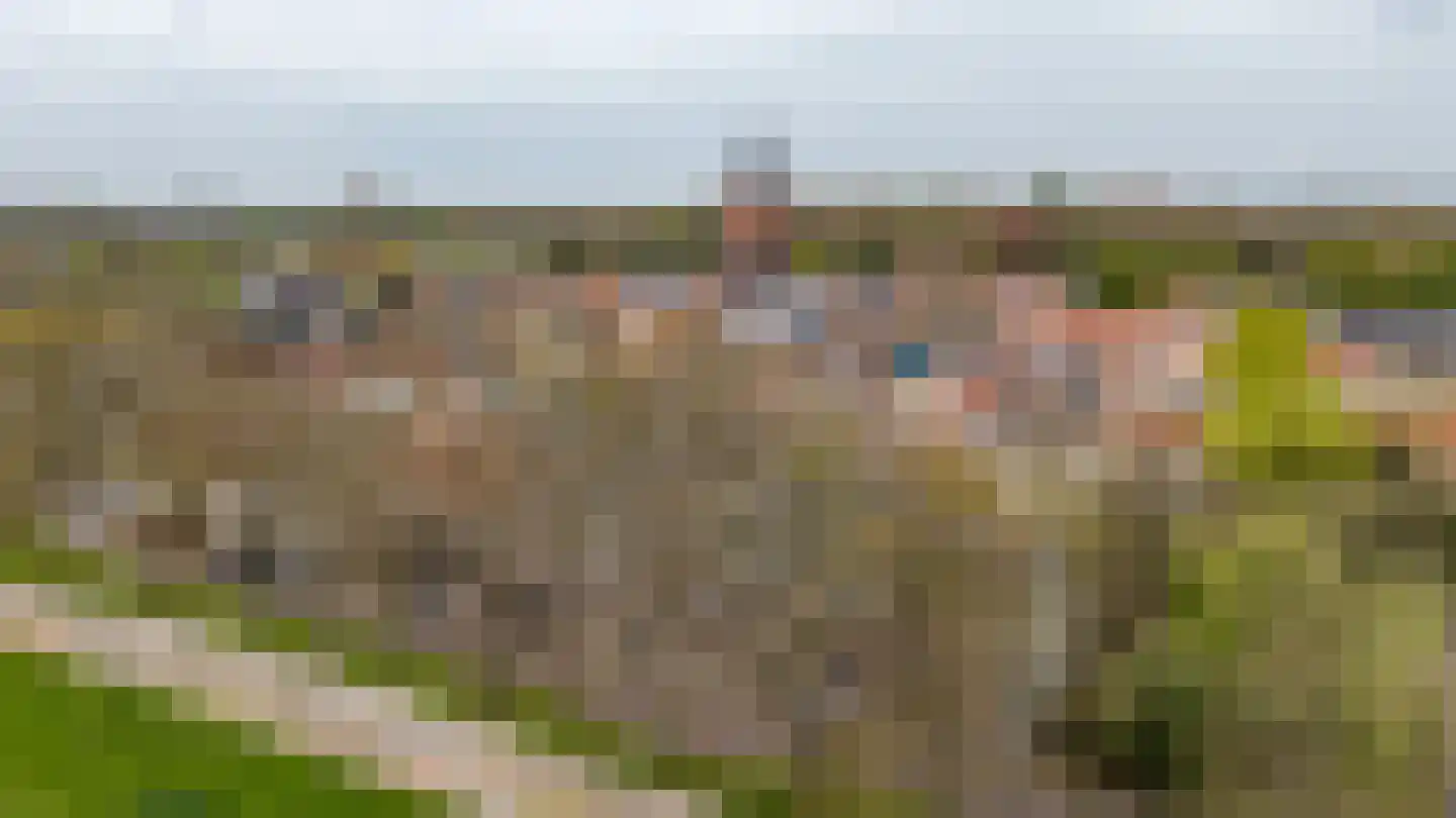 Weeshuiswal 7 Buren thumbnail 6