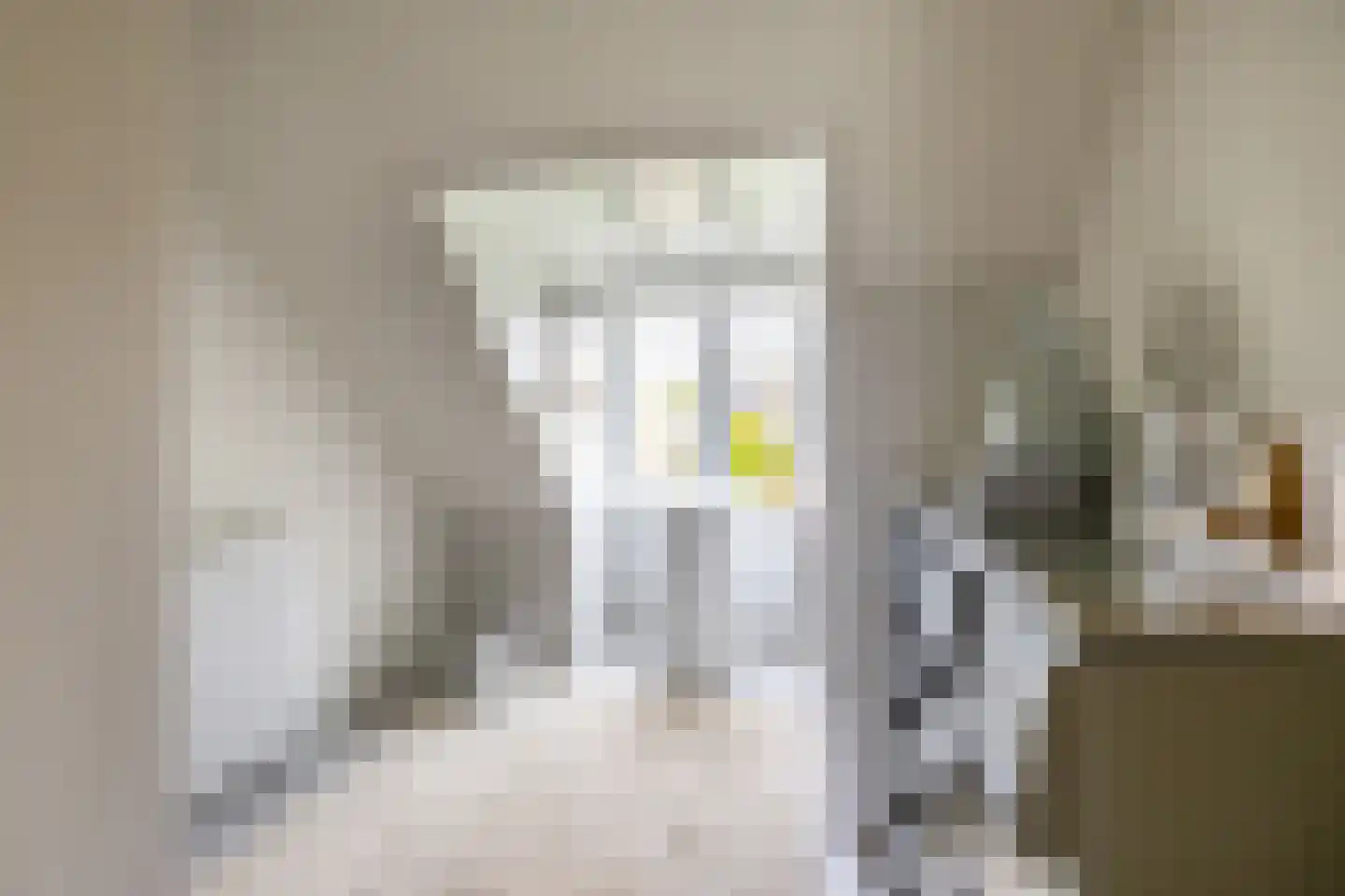 Weeshuiswal 7 Buren thumbnail 63