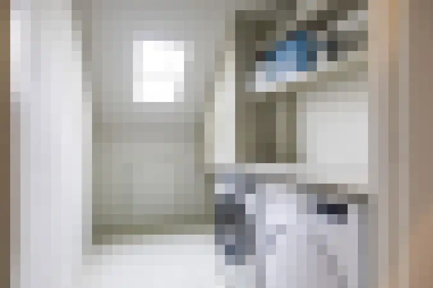 Weeshuiswal 7 Buren thumbnail 68