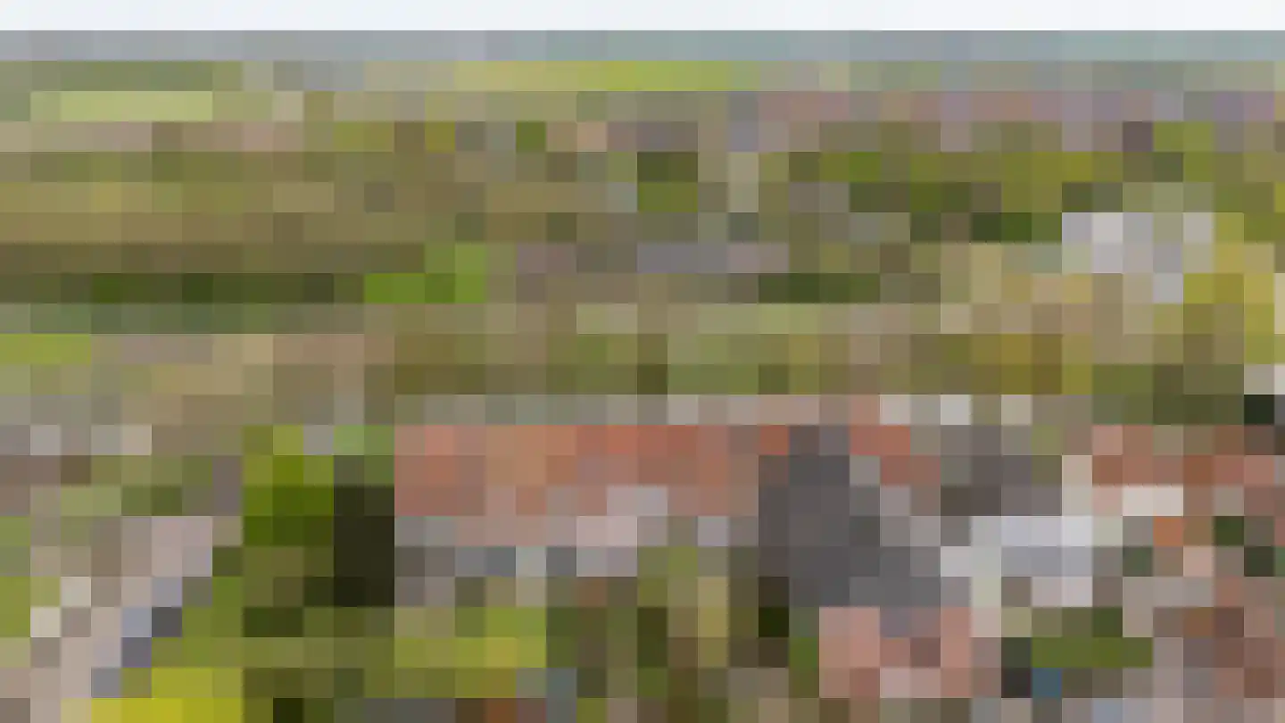 Weeshuiswal 7 Buren thumbnail 7
