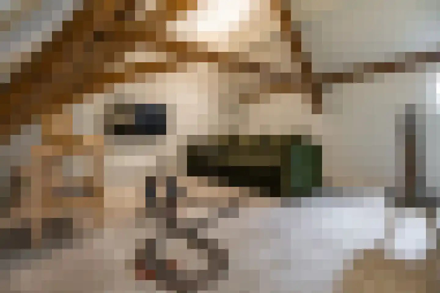 Weeshuiswal 7 Buren thumbnail 70