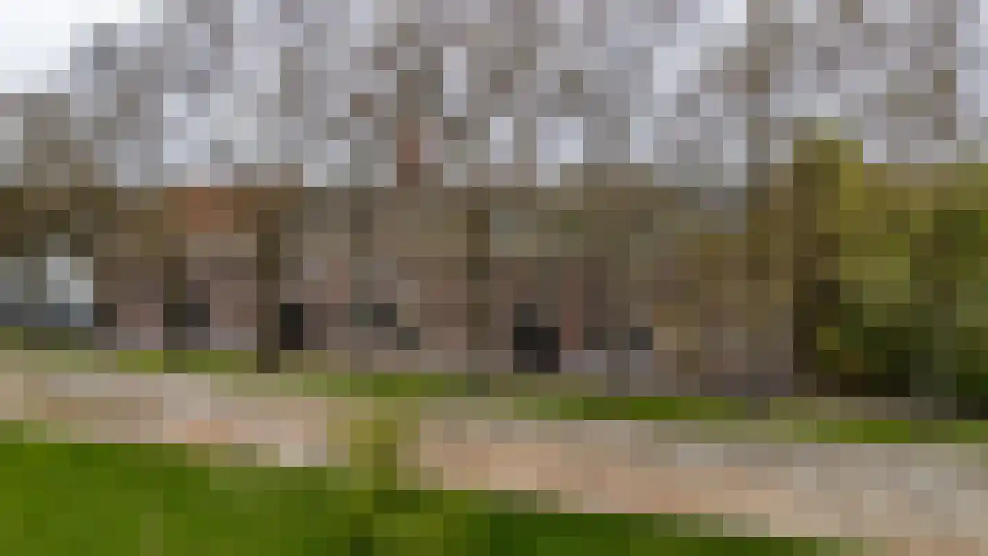 Weeshuiswal 7 Buren thumbnail 8
