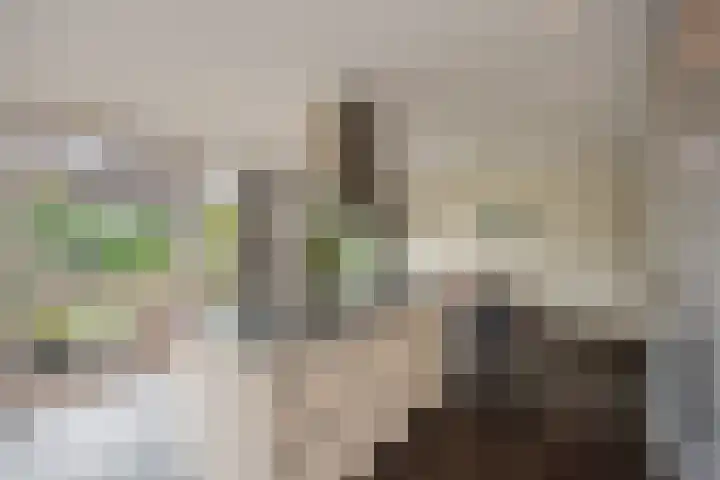 Weesmeesterstraat 19 Delfgauw thumbnail 11