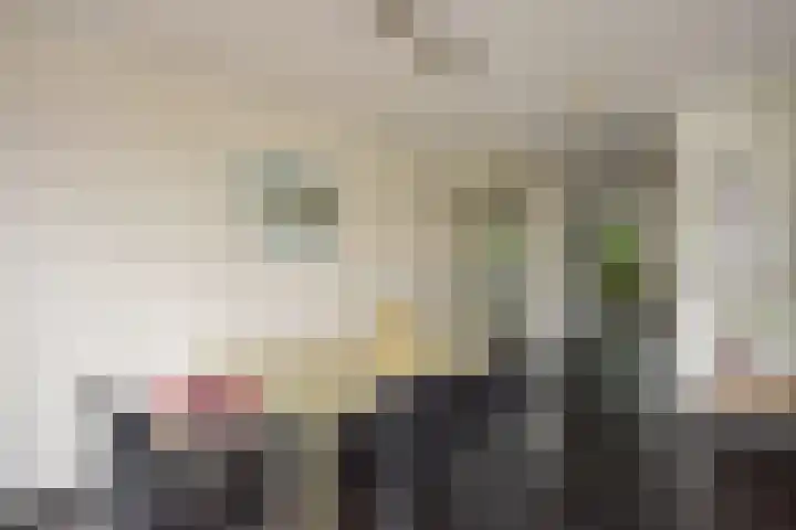Weesmeesterstraat 19 Delfgauw thumbnail 14