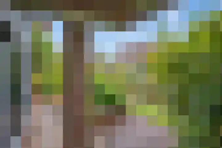Weesmeesterstraat 19 Delfgauw thumbnail 20