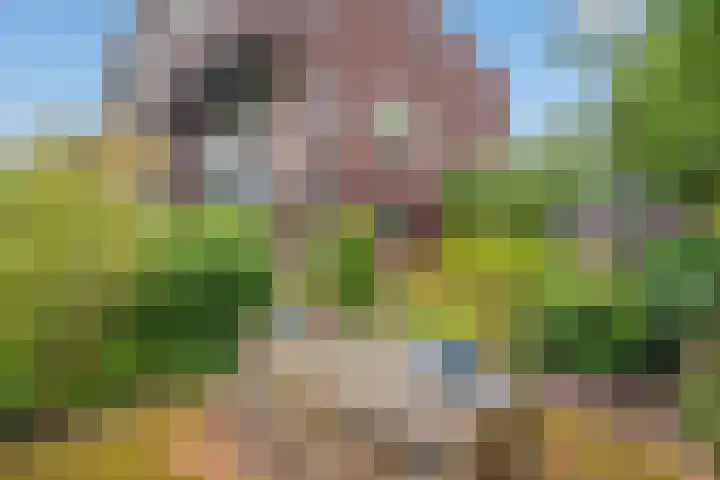 Weesmeesterstraat 19 Delfgauw thumbnail 23