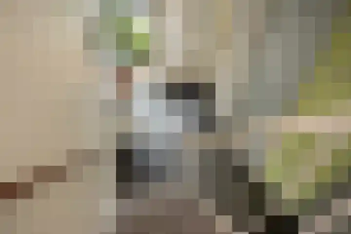 Weesmeesterstraat 19 Delfgauw thumbnail 25