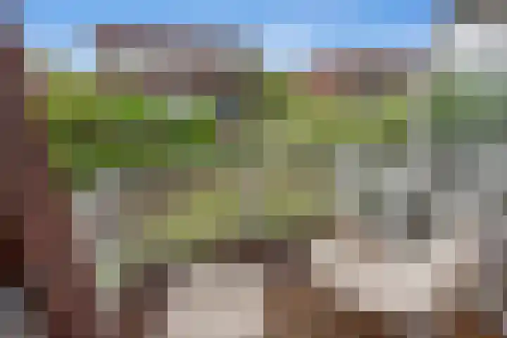 Weesmeesterstraat 19 Delfgauw thumbnail 32