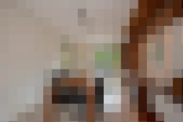 Weesmeesterstraat 19 Delfgauw thumbnail 35