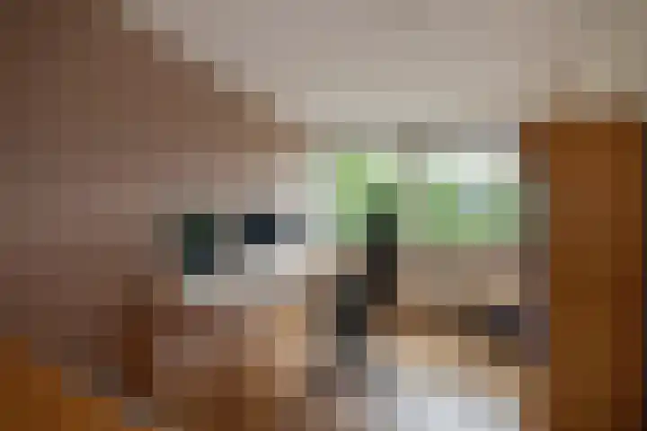 Weesmeesterstraat 19 Delfgauw thumbnail 45