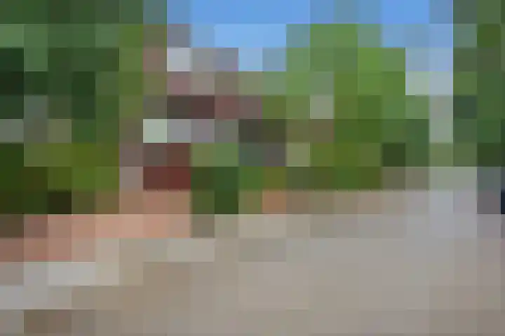 Weesmeesterstraat 19 Delfgauw thumbnail 5