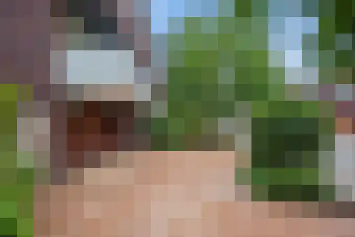 Weesmeesterstraat 19 Delfgauw thumbnail 6