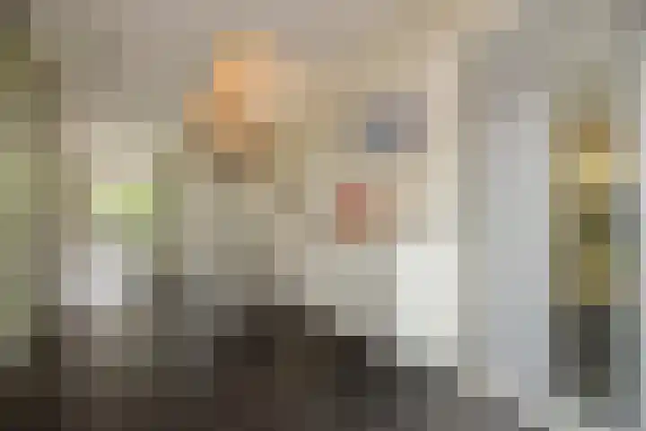 Weesmeesterstraat 19 Delfgauw thumbnail 7