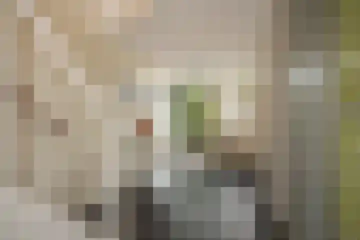 Weesmeesterstraat 19 Delfgauw thumbnail 8