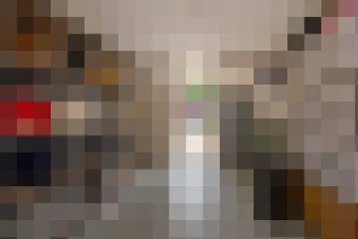 Weesmeesterstraat 19 Delfgauw thumbnail 9