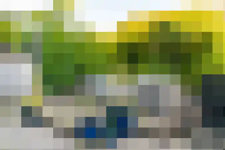 Weesmeesterstraat 24 Delfgauw thumbnail 21