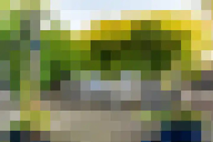 Weesmeesterstraat 24 Delfgauw thumbnail 22