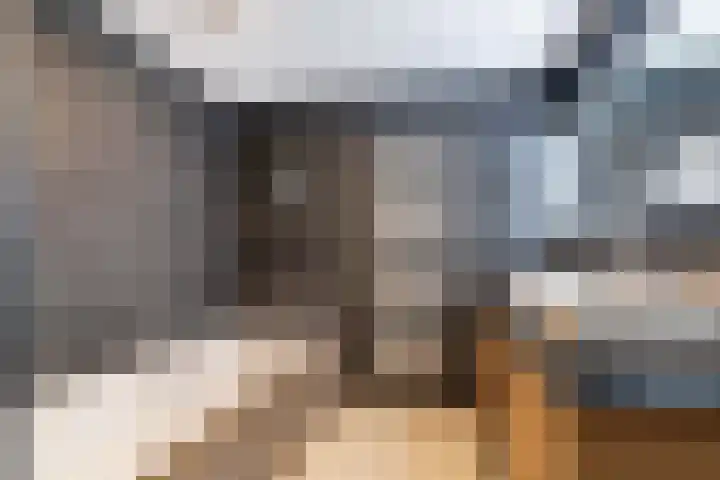 Weesmeesterstraat 24 Delfgauw thumbnail 37