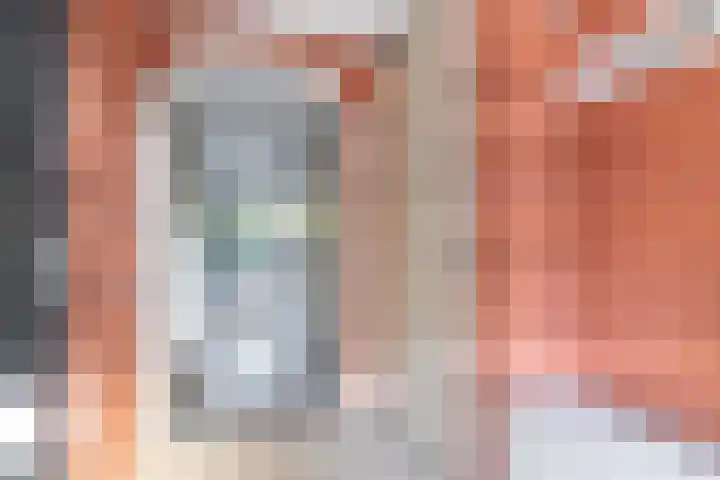 Weesmeesterstraat 24 Delfgauw thumbnail 4