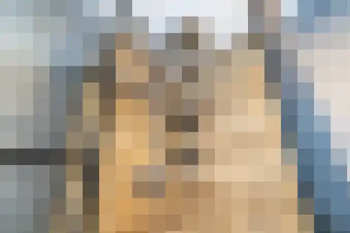Weesmeesterstraat 24 Delfgauw thumbnail 40