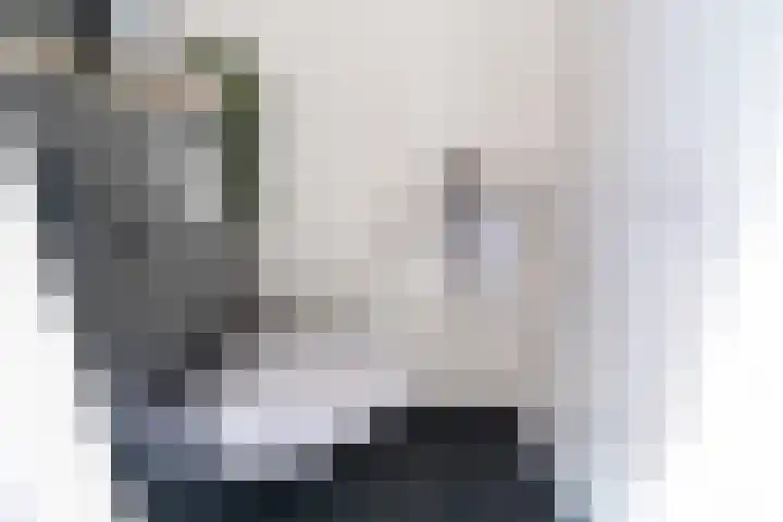 Weesmeesterstraat 24 Delfgauw thumbnail 5