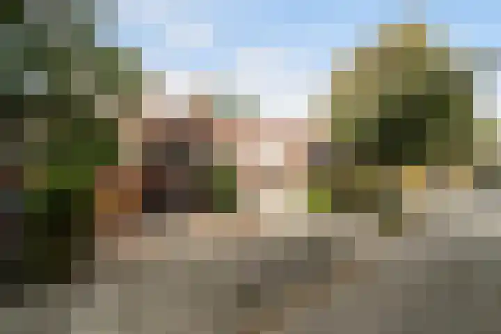 Weesmeesterstraat 26 Delfgauw thumbnail 23