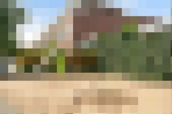 Weesmeesterstraat 26 Delfgauw thumbnail 25