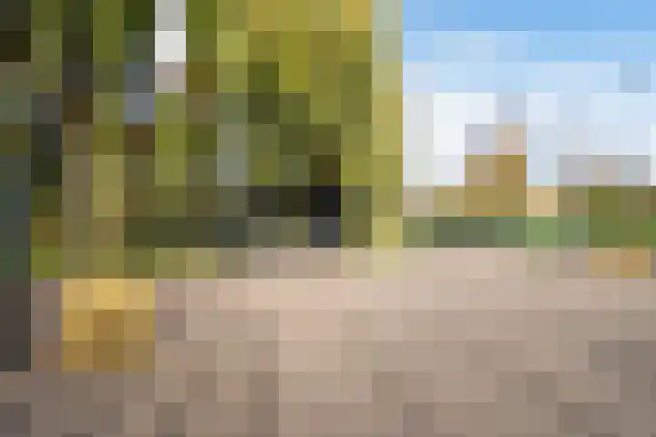 Weesmeesterstraat 26 Delfgauw thumbnail 27