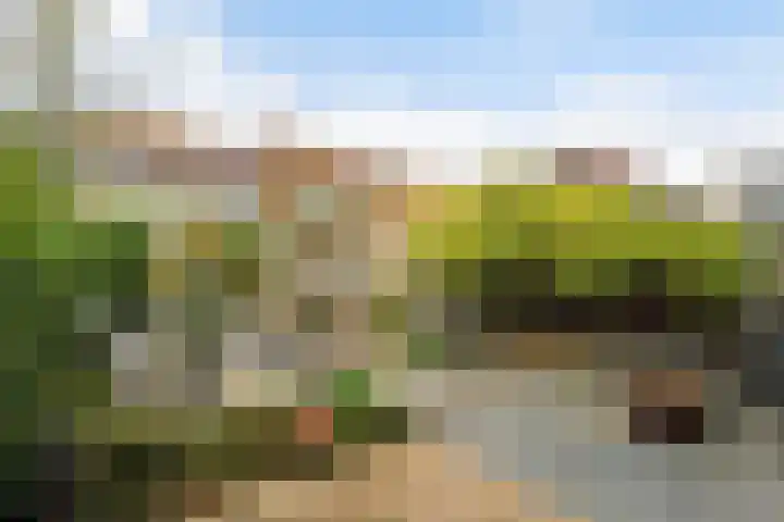 Weesmeesterstraat 26 Delfgauw thumbnail 4
