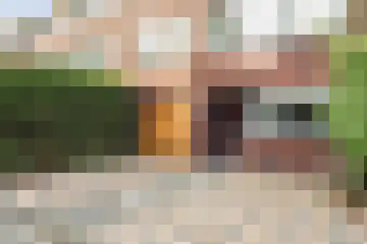 Weesmeesterstraat 26 Delfgauw thumbnail 5