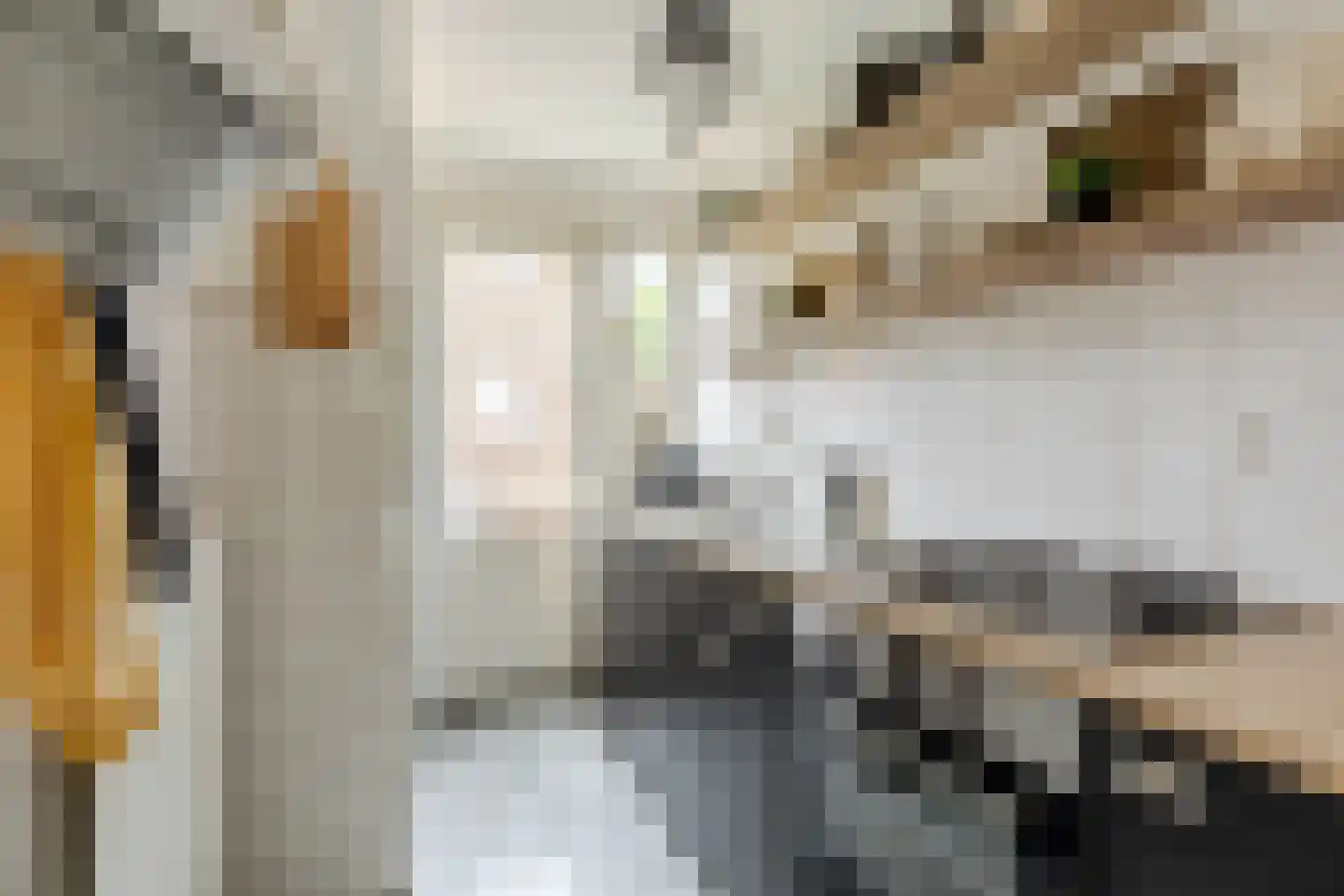 Weesmolenstraat 29 Ooltgensplaat thumbnail 12