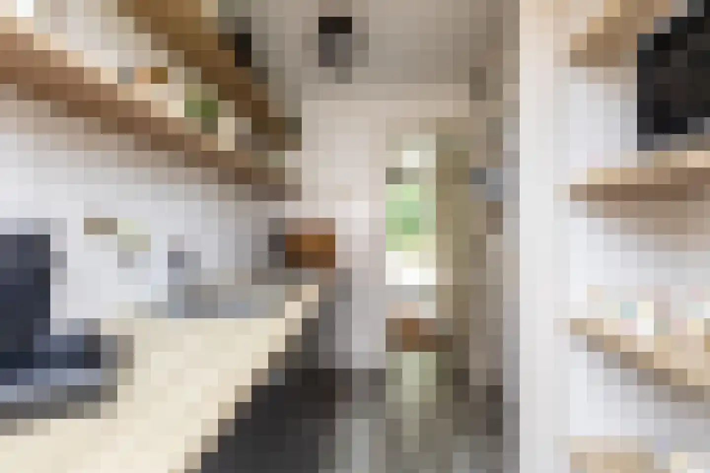 Weesmolenstraat 29 Ooltgensplaat thumbnail 13