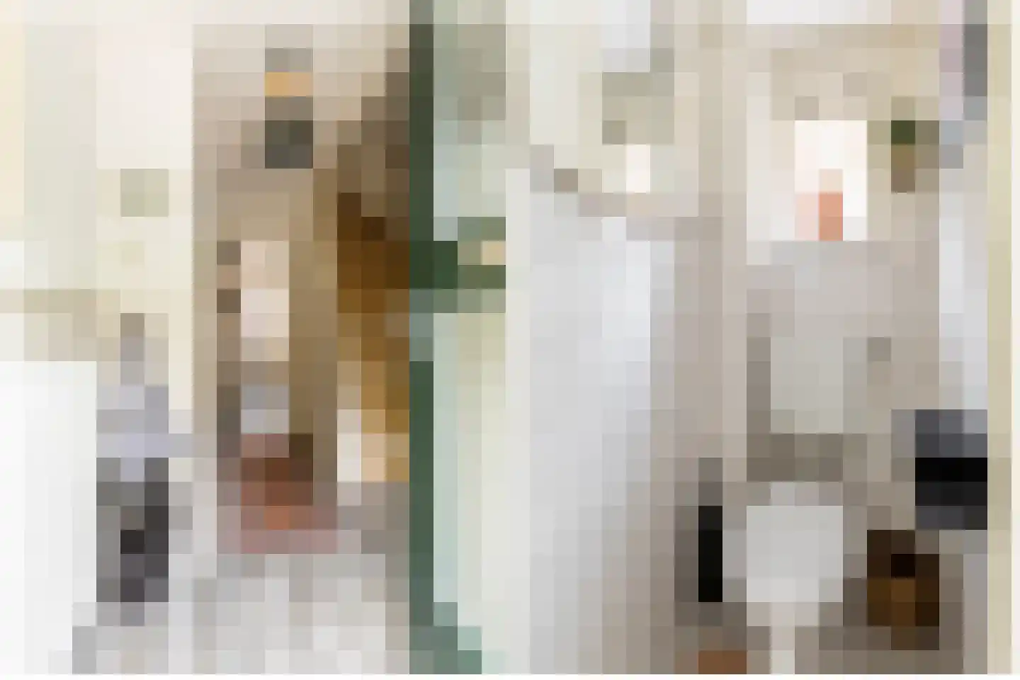 Weesmolenstraat 29 Ooltgensplaat thumbnail 15