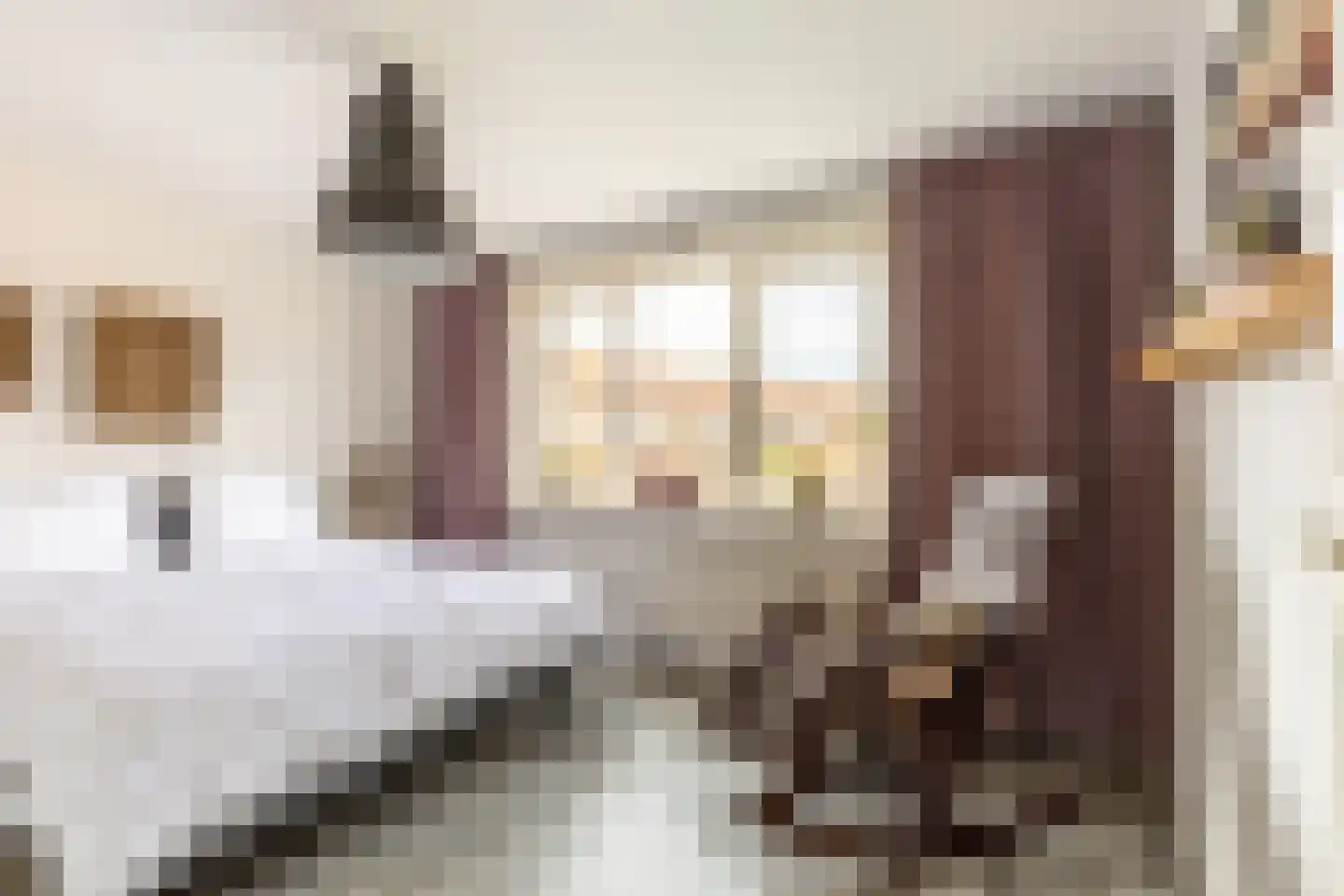 Weesmolenstraat 29 Ooltgensplaat thumbnail 17