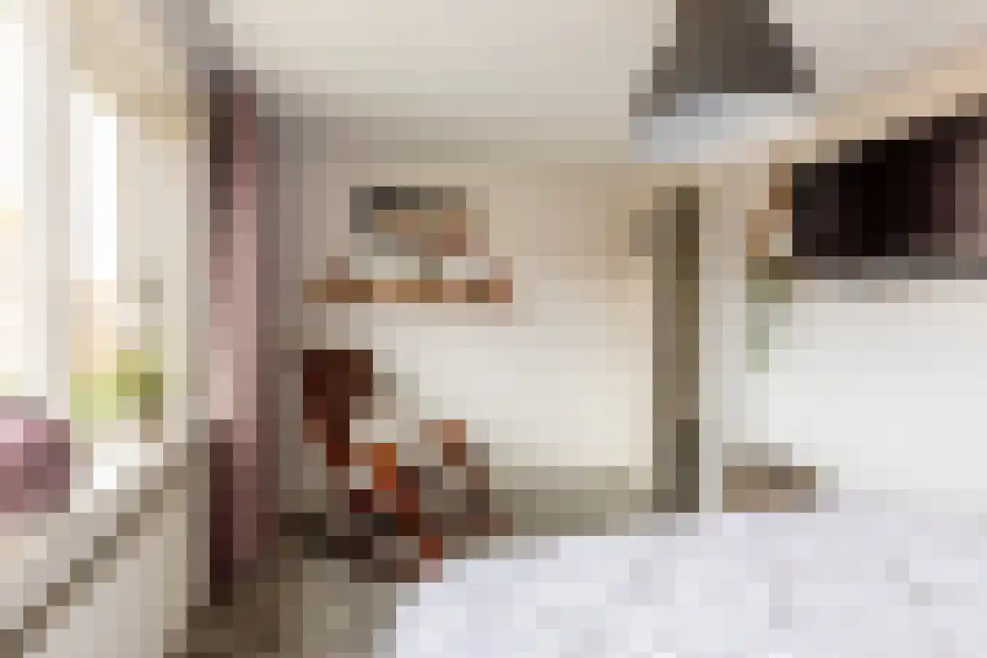 Weesmolenstraat 29 Ooltgensplaat thumbnail 18