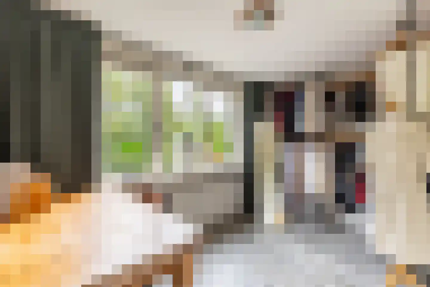 Weesmolenstraat 29 Ooltgensplaat thumbnail 20