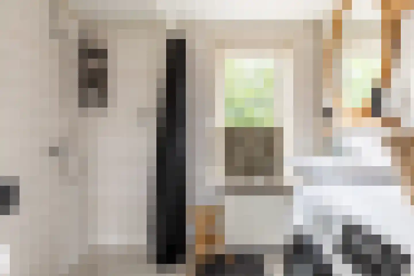 Weesmolenstraat 29 Ooltgensplaat thumbnail 21
