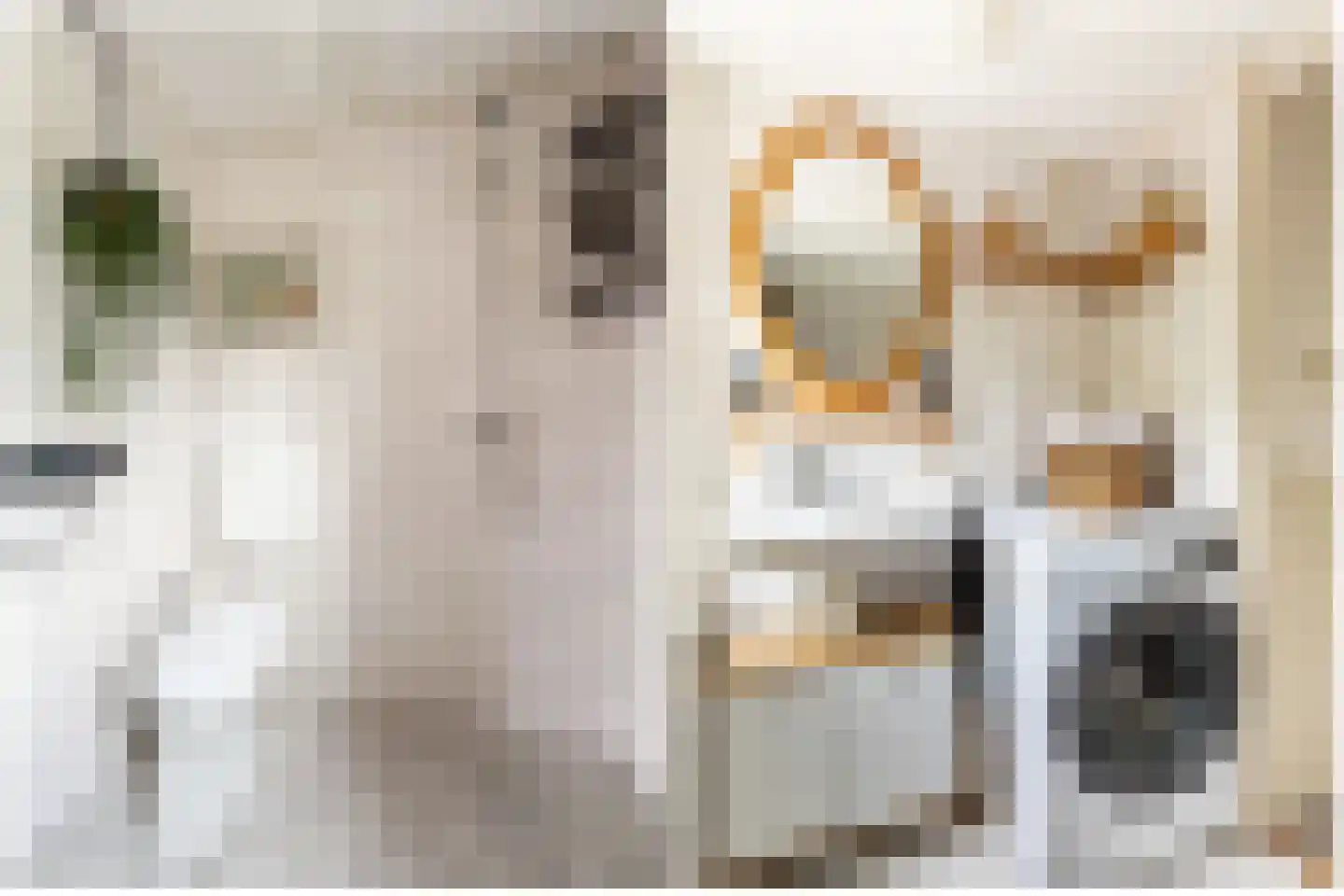 Weesmolenstraat 29 Ooltgensplaat thumbnail 22