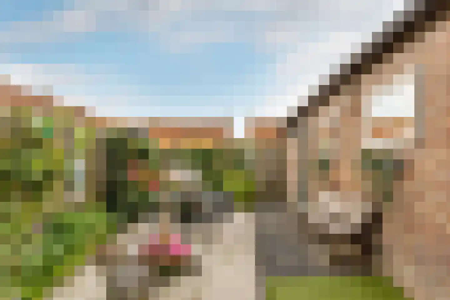 Weesmolenstraat 29 Ooltgensplaat thumbnail 28